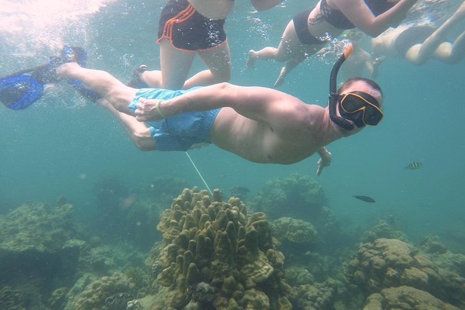 From Khao Lak : Full-Day Private Phi Phi Islands Speedboat Charter - Bamboo Island: the best time for water, snorkel, and sand