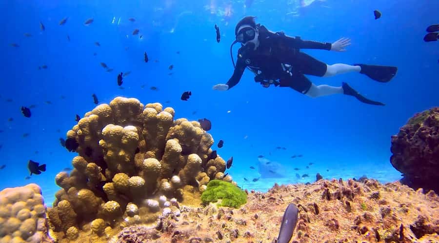 From Phuket: 3-Day SSI/PADI Open Water Diver Certification - Key takeaways