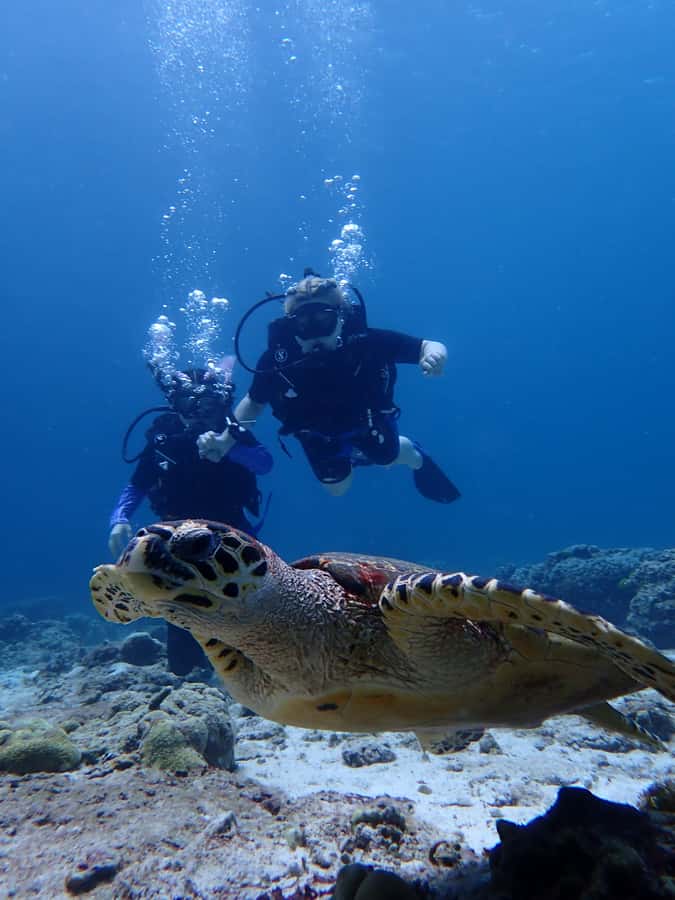 From Phuket: 3-Day SSI/PADI Open Water Diver Certification - Phuket’s 3-day Open Water course: what you’re really buying