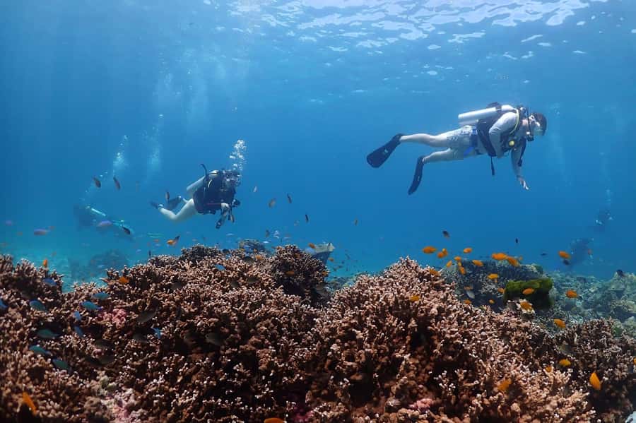 From Phuket: 3-Day SSI/PADI Open Water Diver Certification - Day 2 on Racha Yai Island: first open-water sessions with a real rhythm