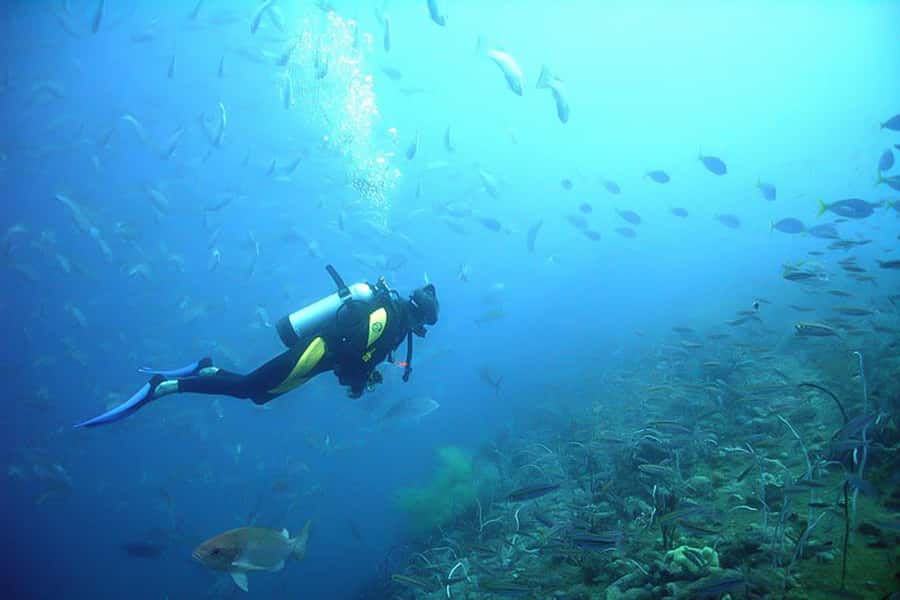 From Phuket: 3-Day SSI/PADI Open Water Diver Certification - What’s included in the $530 price (and why it’s decent value)