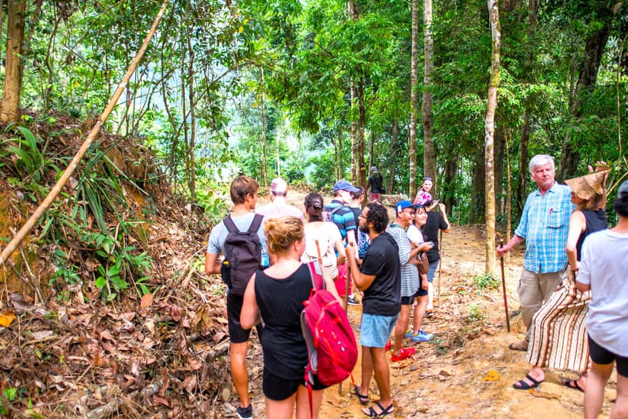 From Phuket Cheow Lan Lake 2Days Guided Tour with Activities - Afternoon Long-Tail Wildlife Safari: The Joy of Looking, Not Just Seeing