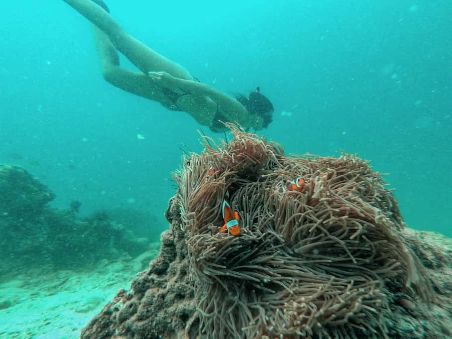 From Phuket: Coral Island Private Longtail Boat Tour - Key highlights at a glance