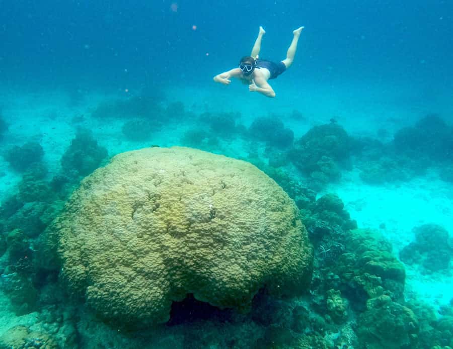 From Phuket: Day Trip to Phi Phi with Private Longtail Tour - Maya Bay + Pileh Lagoon: what you can do and what to expect