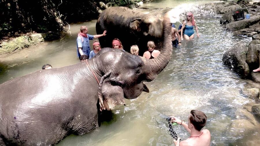 From Phuket: Elephant Care Experience with Rafting & Zipline - Thai Lunch, Tea, Coffee, and Recovery Between Activities