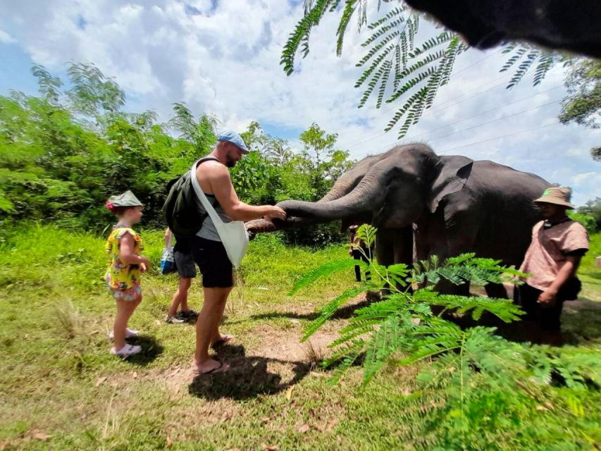 From Phuket: Ethical Elephant Interactive Trek and Tour - Feeding and dietary supplements: hands-on care with guidance