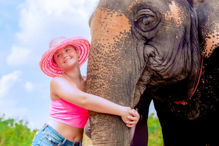 From Phuket: Ethical Elephant Interactive Trek and Tour - Mud spa time: the messy highlight (and why it’s not just fun)