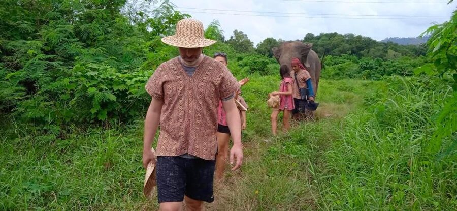 From Phuket: Ethical Elephant Interactive Trek and Tour - River bath and elephant brushing: swim-ready, teamwork mode