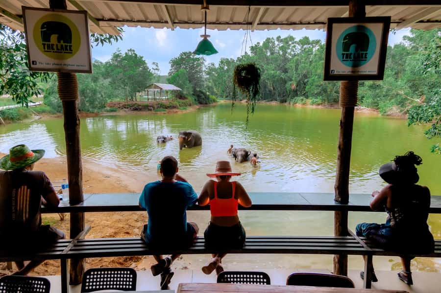 From Phuket: Ethical Elephant Interactive Trek and Tour - Timing the finale: photos, dry clothes, and the ride home