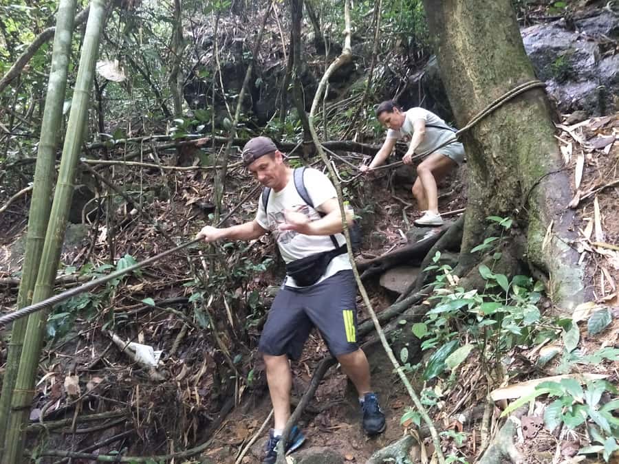 From Phuket: Guided Rainforest Hike with Lunch - Key things I’d bet on before you book