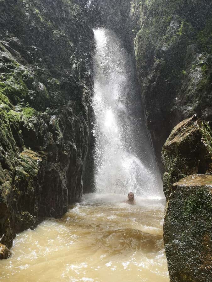 From Phuket: Guided Rainforest Hike with Lunch - Phuket’s Rainforest Workout: Khao Phra Taew in the Real Tempo
