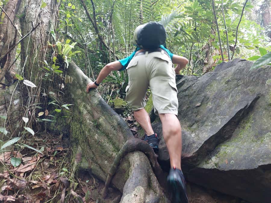 From Phuket: Guided Rainforest Hike with Lunch - Tonsai Waterfall hike: slippery rocks, jungle sound, and the rainforest up close