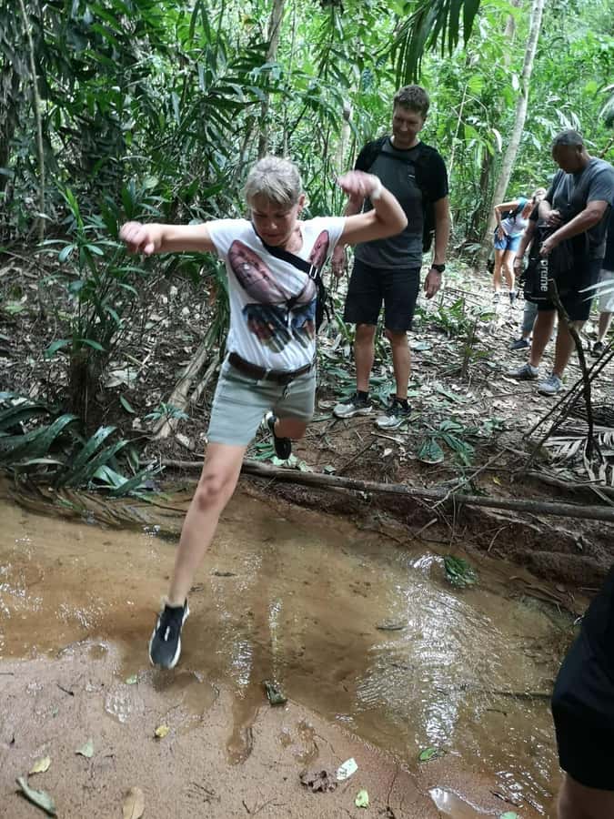 From Phuket: Guided Rainforest Hike with Lunch - Bang Pae Waterfall: the swim stop that changes how you feel