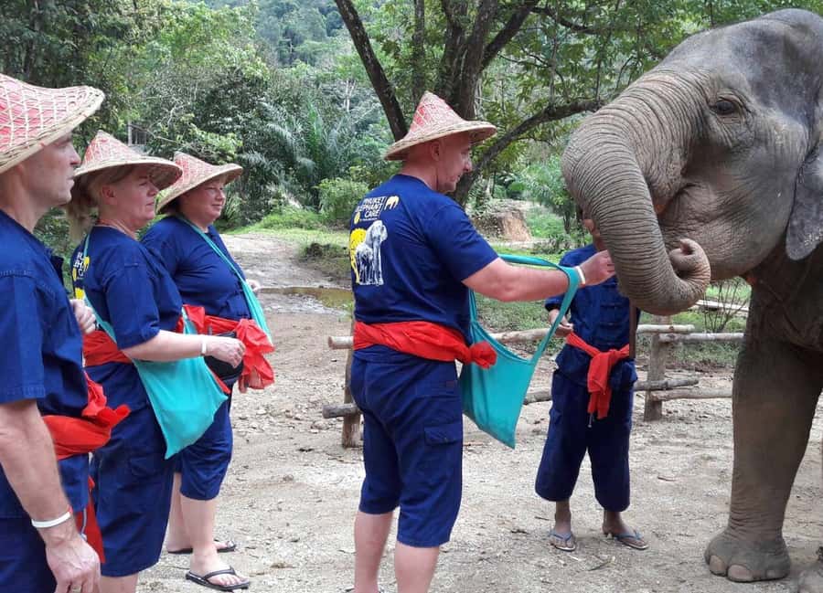 From Phuket & Khao Lak: Elephant Care with Waterfall Visit - Feeding and grooming: what you do (and what you’re not asked to do)