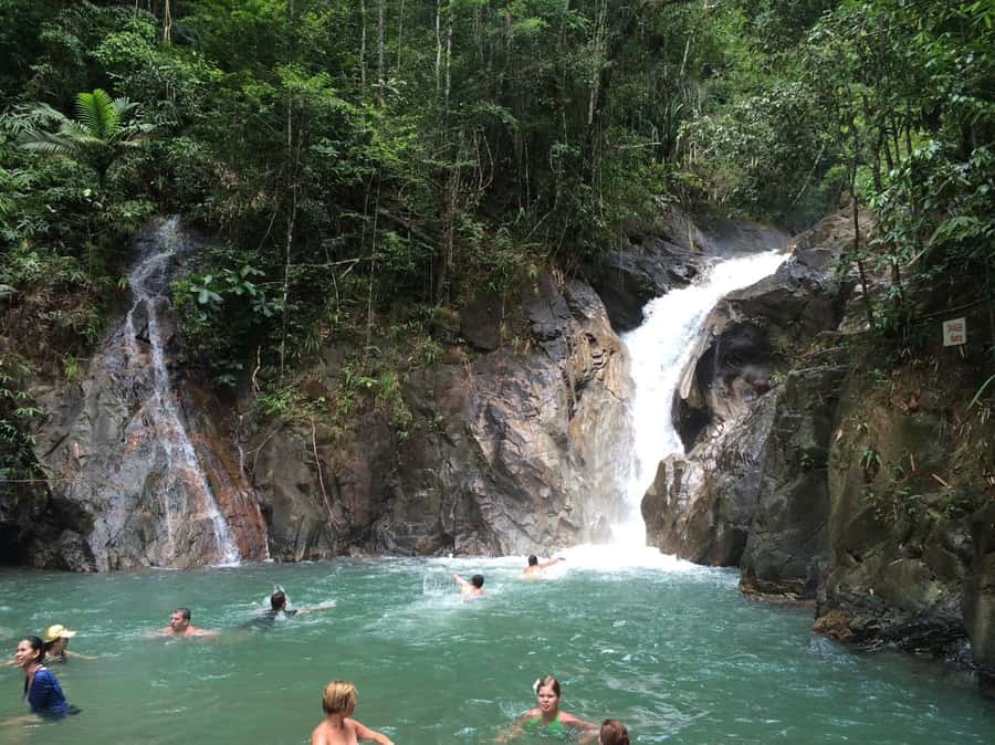 From Phuket & Khao Lak: Elephant Care with Waterfall Visit - The walk to find them: easy paths, but plan for heat and footing