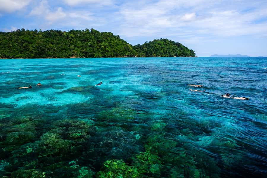 From Phuket/Khaolak: Surin Islands Snorkeling Day Trip - Key things that make this trip worth your time