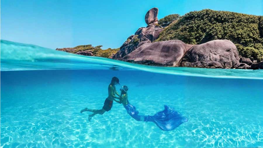 From Phuket or Khaolak : Similan Islands Day Trip - Donald Duck Bay and Sail Rock at Island No. 8