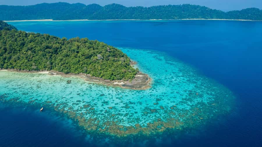 From Phuket or Khaolak: Surin Islands Day Trip - Lunch at Surin National Park: Beach Buffet Time That Actually Feels Like a Break