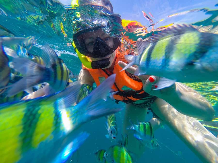 From Phuket: Phi Phi and Maya Bay Snorkeling by Speedboat - Phuket to Phi Phi by speedboat: the ride that sets the tone