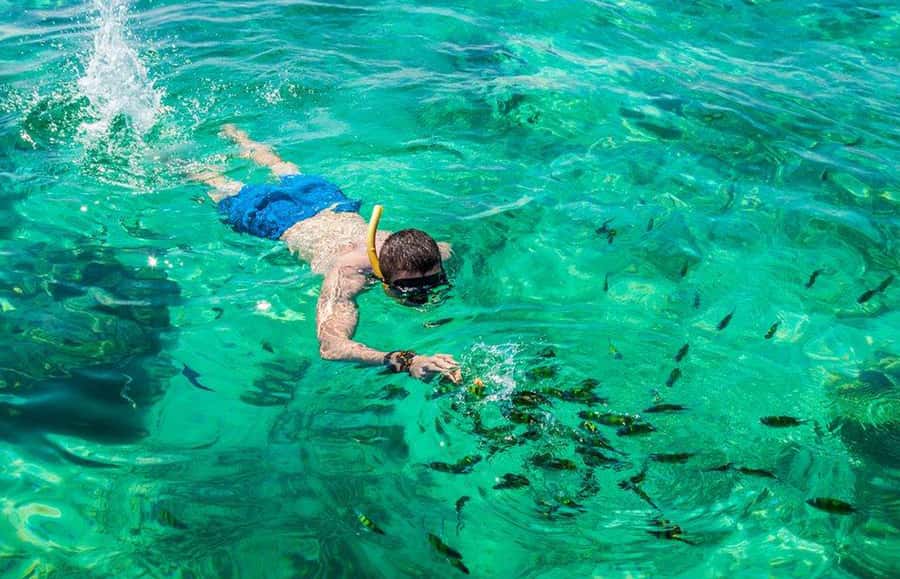 From Phuket: Phi Phi Island Dawn Tour with Lunch - Price and logistics: what $110 actually covers