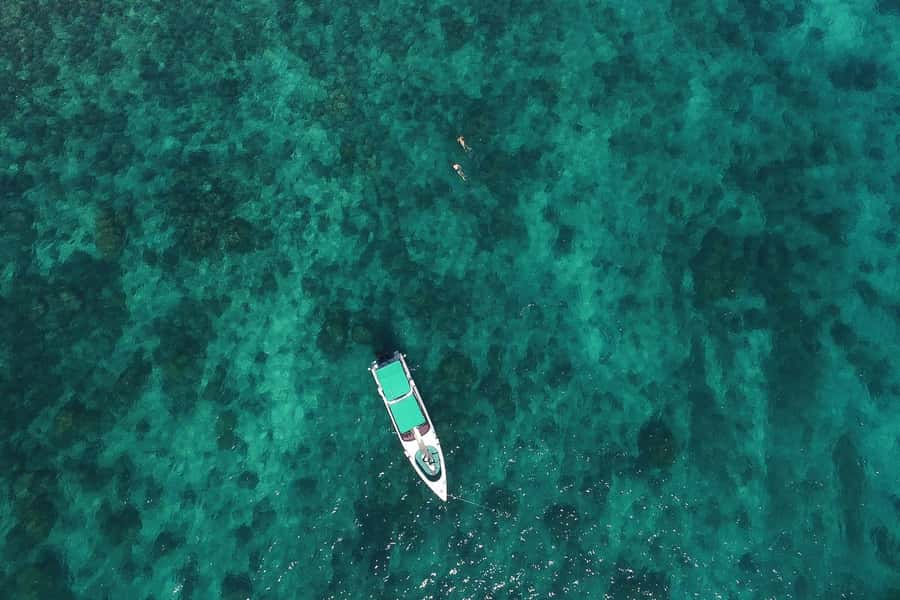 From Phuket: Phi Phi Island Private Full-Day Speedboat Trip - Why this private Phi Phi speedboat day feels like the smart version