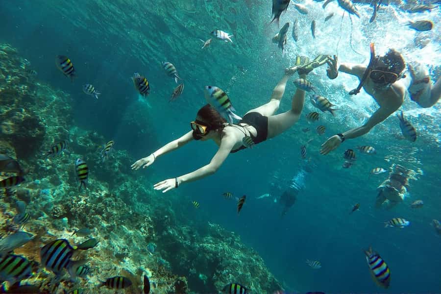 From Phuket: Phi Phi Island Private Full-Day Speedboat Trip - Maya Bay closure and what to expect instead