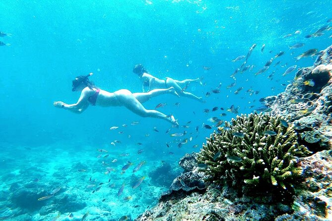 From Phuket: Phi Phi, Maya and Bamboo Islands Full Day Visit - The Boat-View Bonus: Pileh Cove Emerald Lagoon and Viking Cave