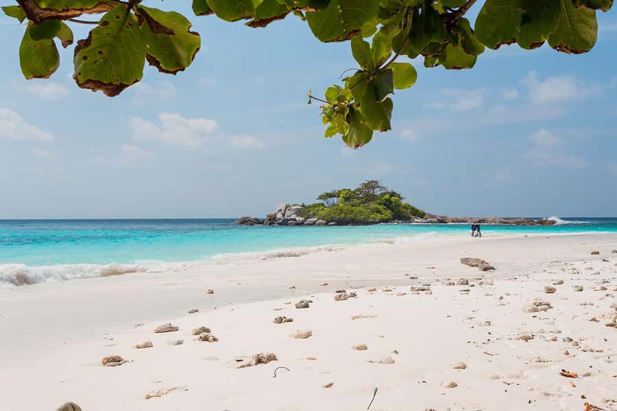 From Phuket: Racha & Maiton Island Dolphin Expedition - The AA Marina and Return Plan: You’ll Be Back Before Evening Plans