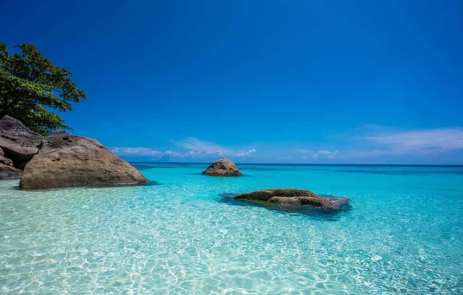 From Phuket: Similan Islands Day Trip - Lunch on Similan Island No.4: Fuel for Beach Time
