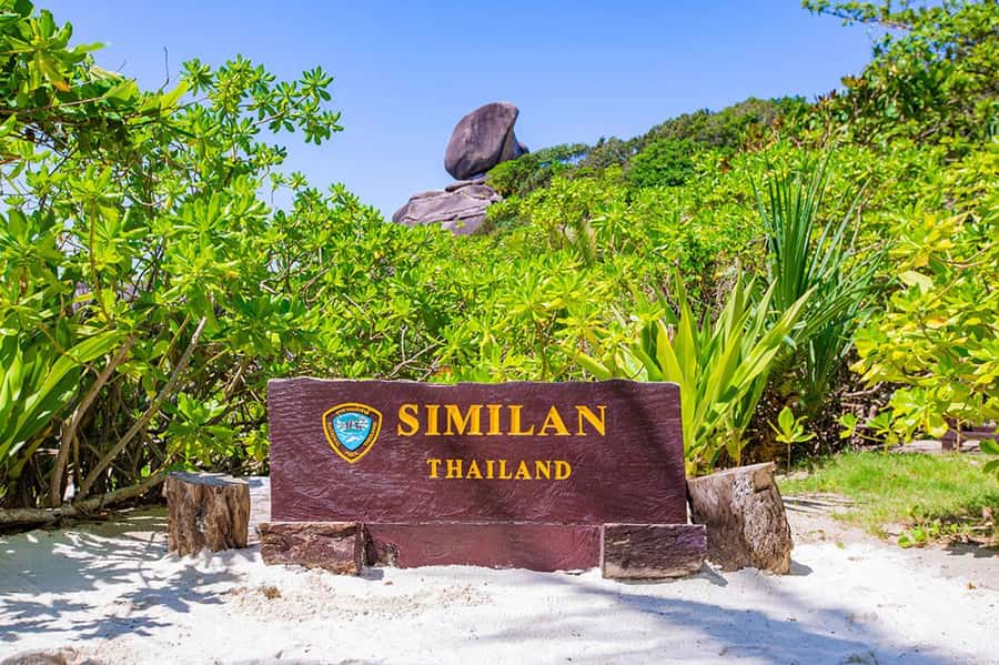 From Phuket: Similan Islands Snorkeling Trip by Speedboat - Phuket pickup to Aopor Pier: the early start logistics that matter