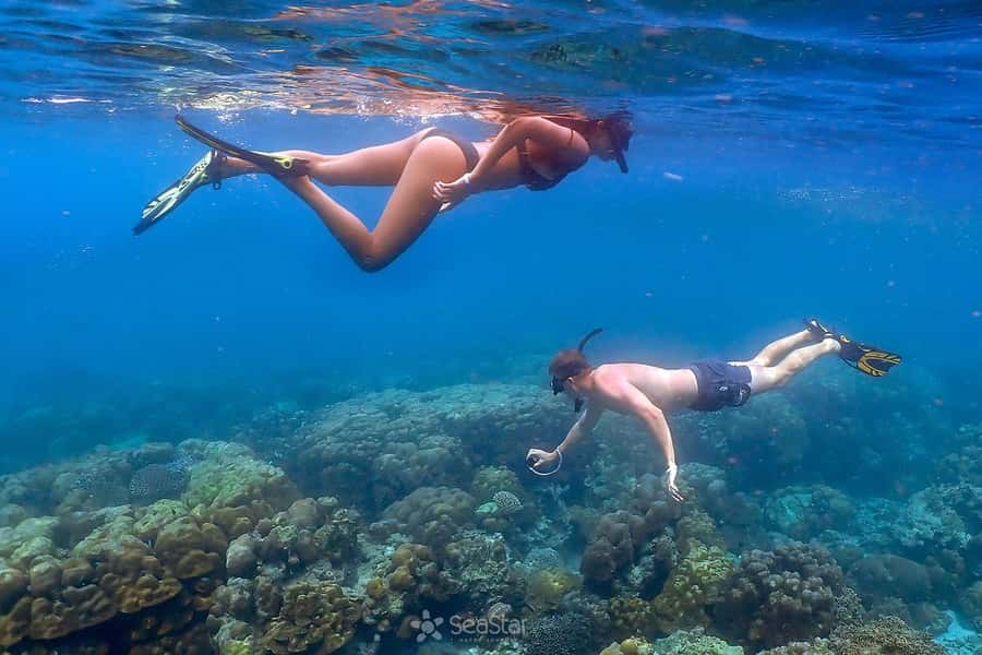 From Phuket: Surin Islands Snorkeling Trip - Mu Koh Surin National Park: the main reason this day feels worth it
