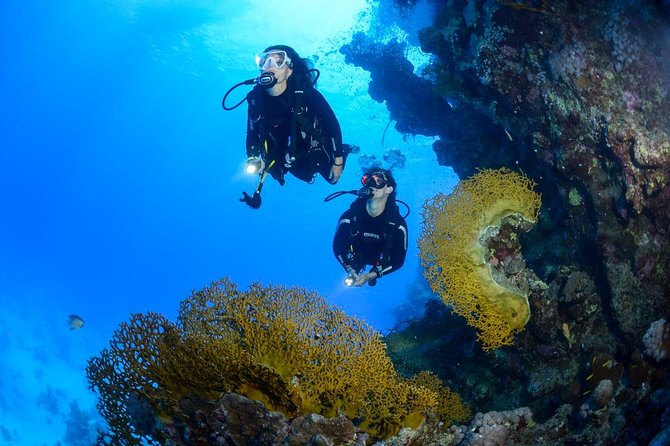 Full-Day Beginner Scuba Course with Private Tuition, Racha Yai - Koh Racha Yai: why this course feels like a real ocean day