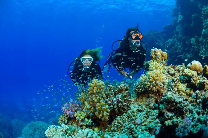 Full-Day Beginner Scuba Course with Private Tuition, Racha Yai - Price and value: what $162.73 really buys you