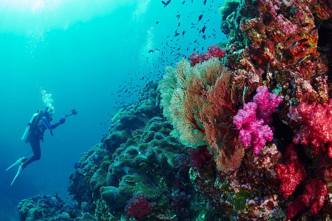 Full-Day Beginner Scuba Course with Private Tuition, Racha Yai - Logistics that can make or break your day: sea sickness, weather, and health