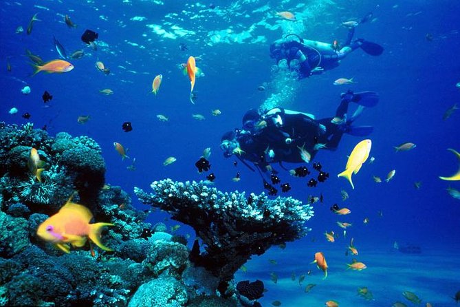 Full-Day Beginner Scuba Course with Private Tuition, Racha Yai - The 8-hour flow: 7:00 am start, gear, then two coached sessions