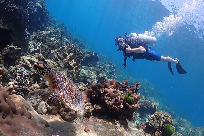 Full-Day Koh Phi Phi Scuba Diving Course from Phuket - The Underwater Plan: Two Sessions, 50 Minutes Each, 12m Max