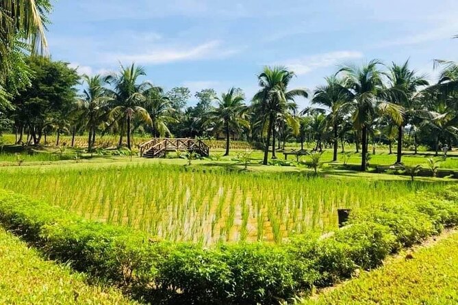 Full-Day Phuket Local Life Culture Tour with Pickup and Lunch - Stop 2: Phuket Old Town on foot, with Sino-Portuguese details that matter
