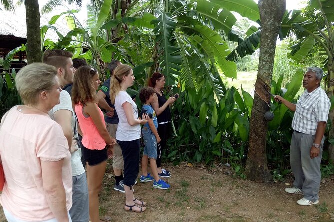 Full-Day Phuket Local Life Culture Tour with Pickup and Lunch - Stop 5: Promthep Cape sunset vibes and the lighthouse history