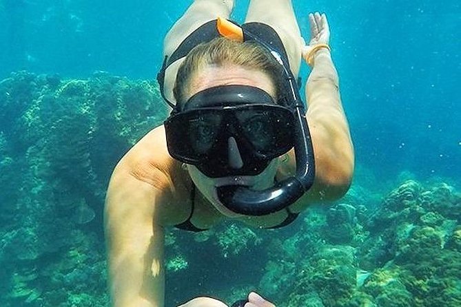 Full-Day Racha Noi and Racha Yai Snorkeling from Phuket - What You’ll See Underwater (And What’s Usually Missing)