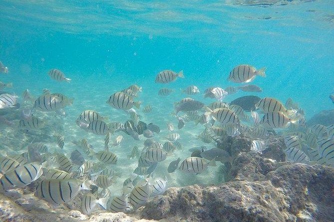 Full-Day Racha Noi and Racha Yai Snorkeling from Phuket - Food and Comfort: Why the Onboard Meals Matter