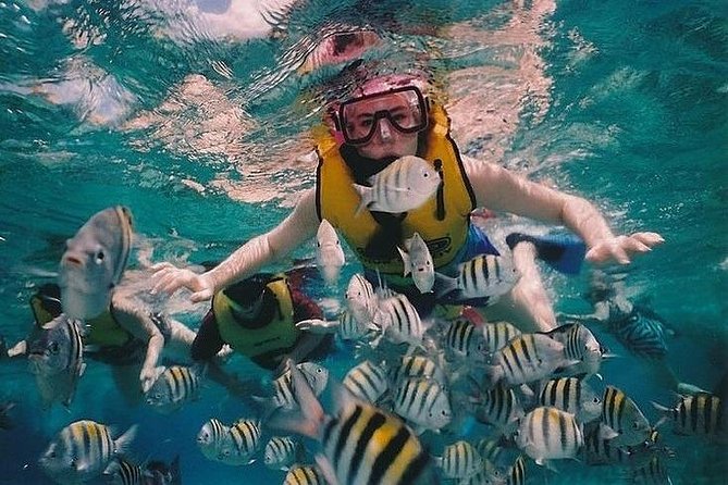 Full-Day Racha Noi and Racha Yai Snorkeling from Phuket - Transfers Around Phuket: Pickup Zones That Save Time