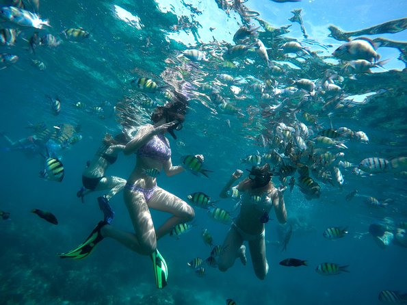 Full-Day Racha Noi and Racha Yai Snorkeling from Phuket - Stop 1 and Stop 2: Koh Racha Noi for Two Comfortable Snorkels