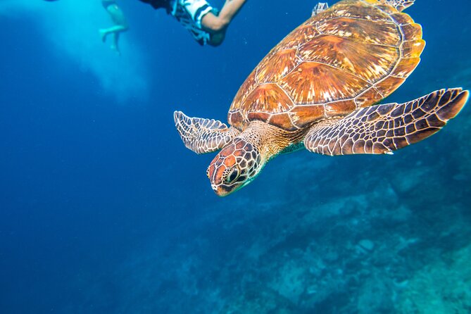 Full-day Tour to the Similan Islands by Speedboat from Khao Lak - Speedboat Reality Check: Group Size, Comfort, and Weather Changes