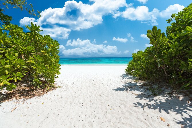 Full-day Tour to the Similan Islands by Speedboat from Khao Lak - Who Can Join (and Who Should Skip a Speedboat Day)