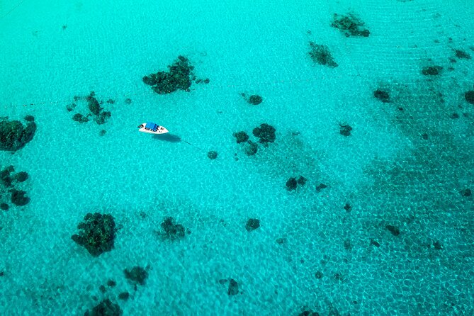 Full-day Tour to the Similan Islands by Speedboat from Khao Lak - Ko Miang (Similan Island 4): The Thai Buffet Lunch Break