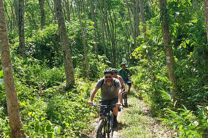 Half-Day Countryside Cycling Small-group Tour in Phuket - A farm-and-jungle Phuket ride you’ll feel in your legs