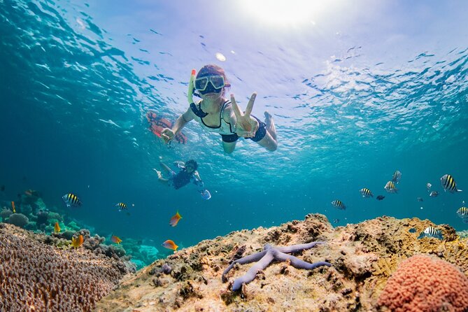 Half day Tropical Coral Island Snorkeling Tour from Phuket - Easy Phuket Pickups to a Beach Break