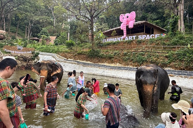 Half day with Elephants at Patong Elephant Hug （No ride No trick） - Patong Elephant Hug: what no ride, no trick really means