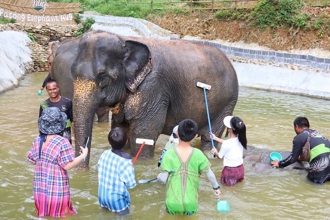 Half day with Elephants at Patong Elephant Hug （No ride No trick） - The photo system: when you want photos without pressure