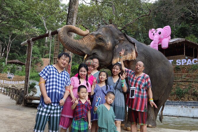 Half day with Elephants at Patong Elephant Hug （No ride No trick） - The eco side: elephant dung paper-making you can connect to